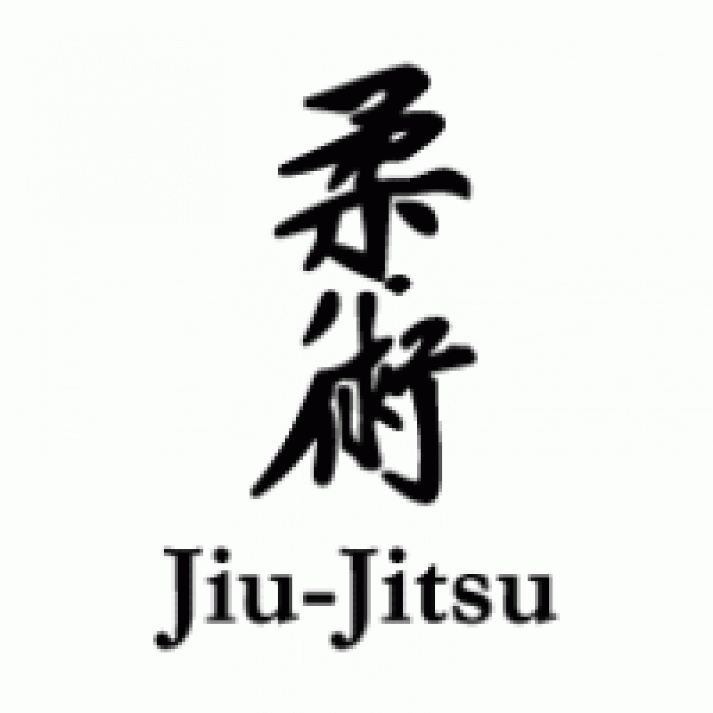 images/abruzzo/generiche/medium/ju_jitsu.gif