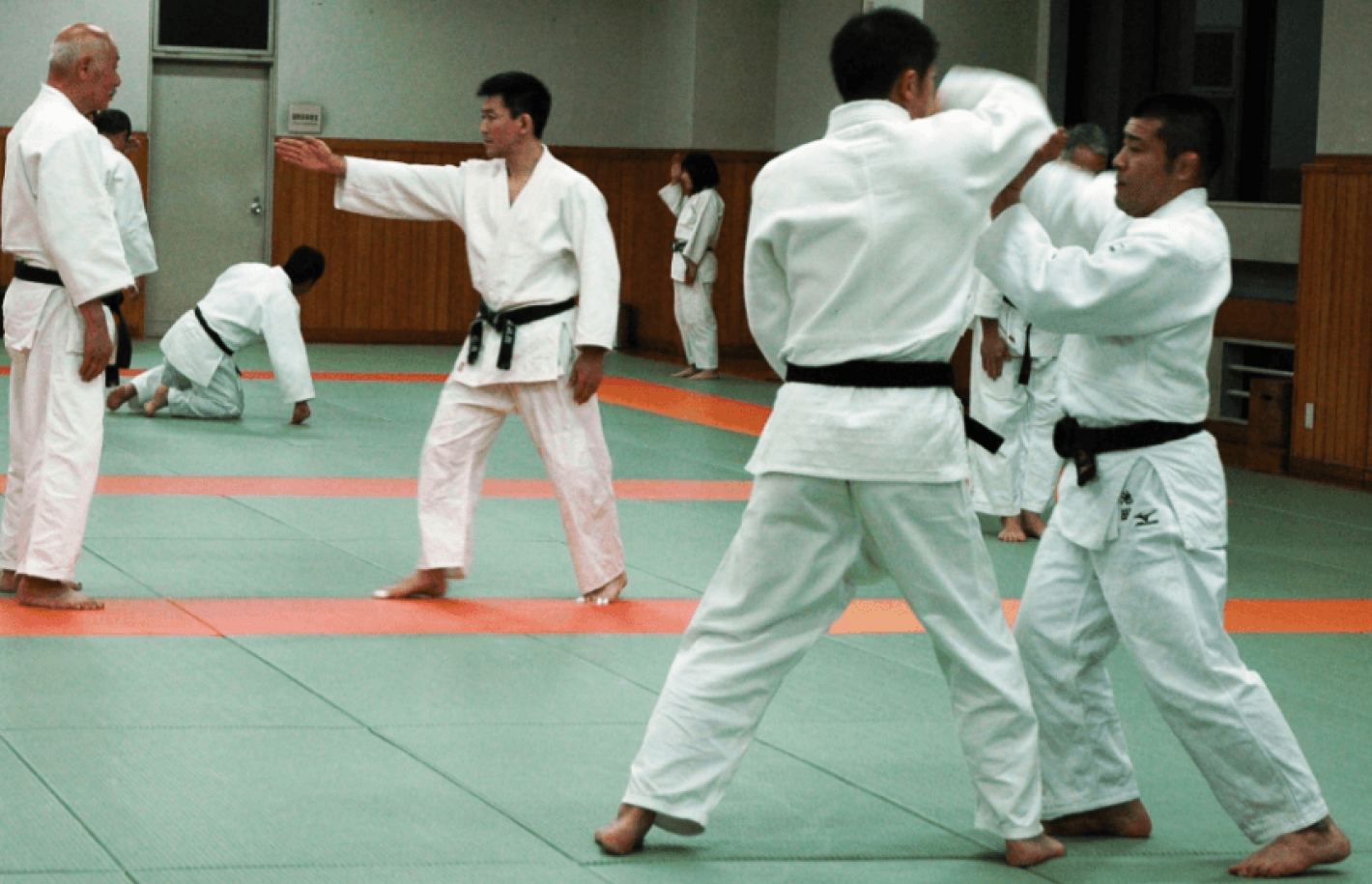 images/bolzano/medium/kata.PNG