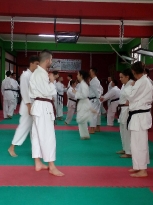 karate_calabria_per_il_mondo-_ctr-lamezia_terme-02-10-2016_10_20180129_1783128722