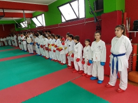 foto28_20180129_1166544691