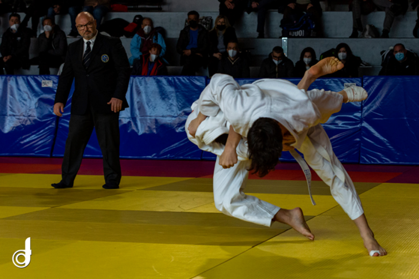 images/campania/campania2022/judo/aprile/qualif_jun/medium/274352796_993905777891548_7237455419329250488_n.png