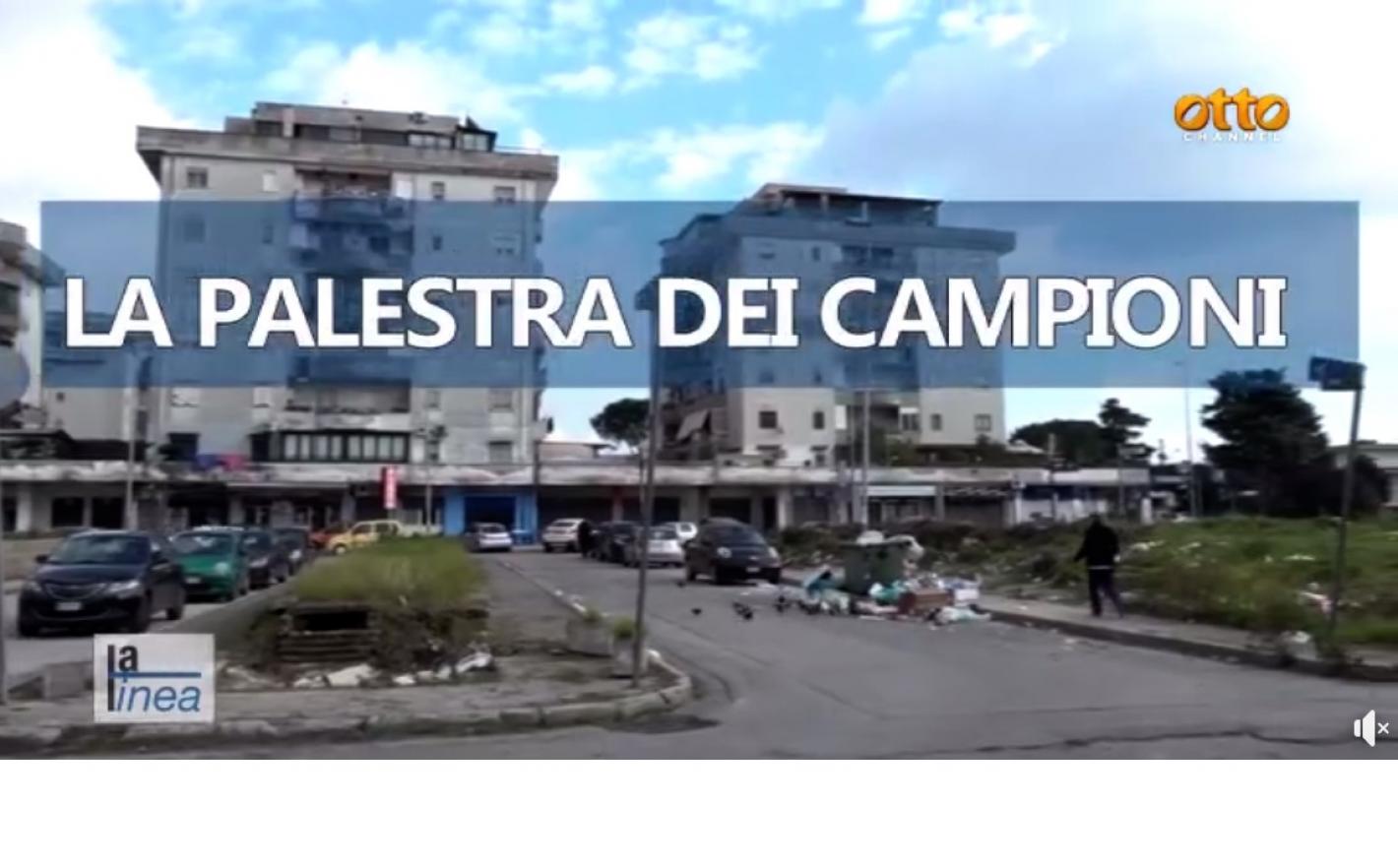 images/campania/campania2024/lotta/gennaio/lapalestra_campioni/medium/campioni.jpg