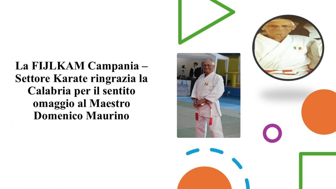 images/campania/campania2025/karate/maggio/medium/MAURINO.jpg
