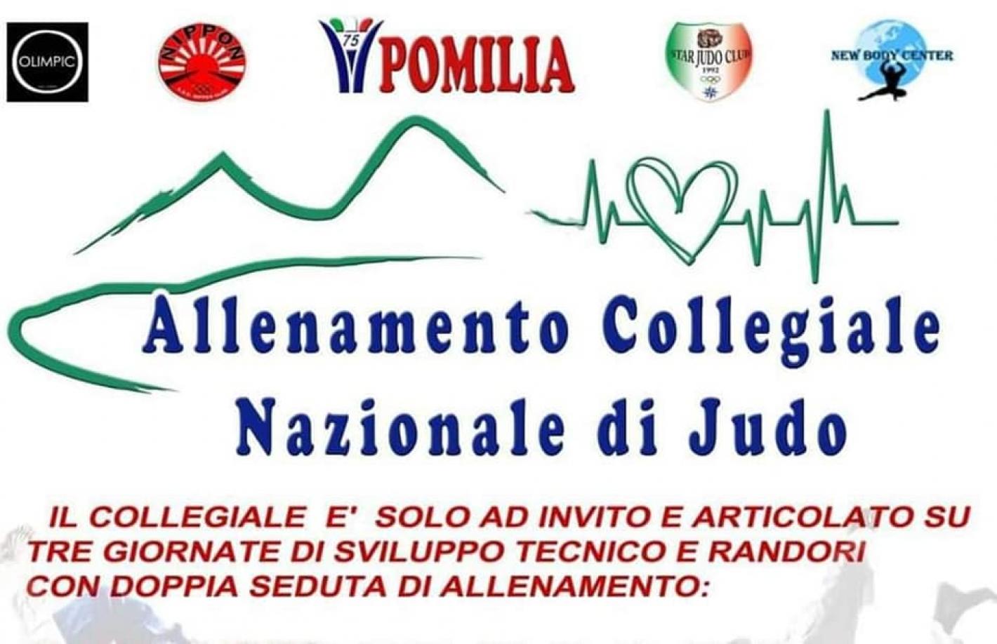 images/campania/judo2020/settembre/medium/foto1.jpg