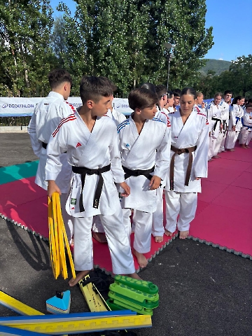 4458ea20-1c8e-40c3-8657-308856cb8833