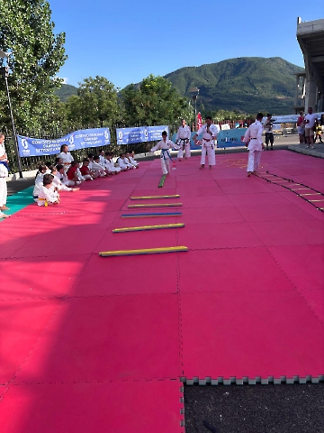 8ab9a336-f274-4d40-b1c2-af5e5f20facb