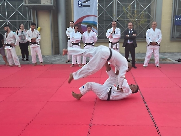 fb4bbb13-3a18-40f6-9201-686de4a6e384