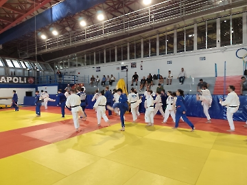 Immagine WhatsApp 2025-09-07 ore 20.08.55_6f2fca3a