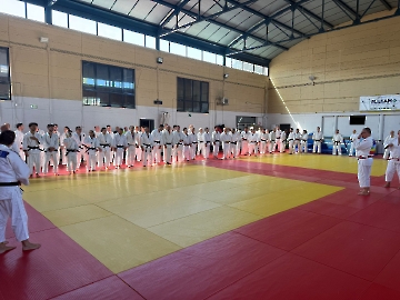 WhatsApp Image 2025-09-14 at 18.24.01 (7)