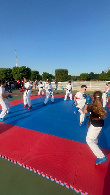 Immagine WhatsApp 2025-06-29 ore 09.13.03_540c8eef