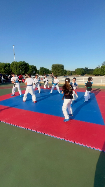 Immagine WhatsApp 2025-06-29 ore 09.25.10_0f118c63