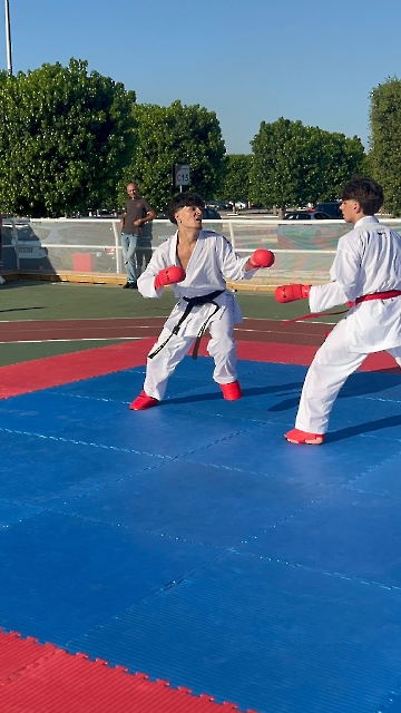 Immagine WhatsApp 2025-06-29 ore 09.25.12_cd86eada