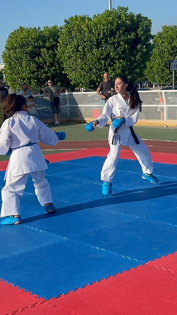 Immagine WhatsApp 2025-06-29 ore 09.25.13_424738c2