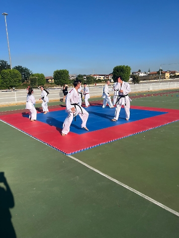 Immagine WhatsApp 2025-06-29 ore 09.27.17_1d6108ae