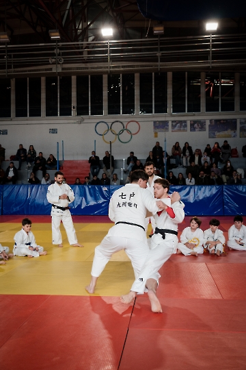 DSC04050