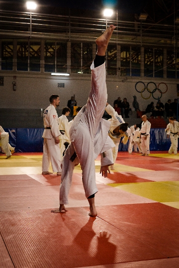 DSC09951