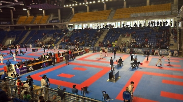 WhatsApp Image 2026-02-23 at 16.49.16