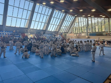 1 (50)