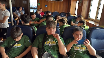 1 (51)