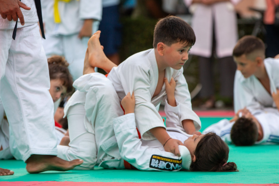 Fight Village 15 tatami bjj kids