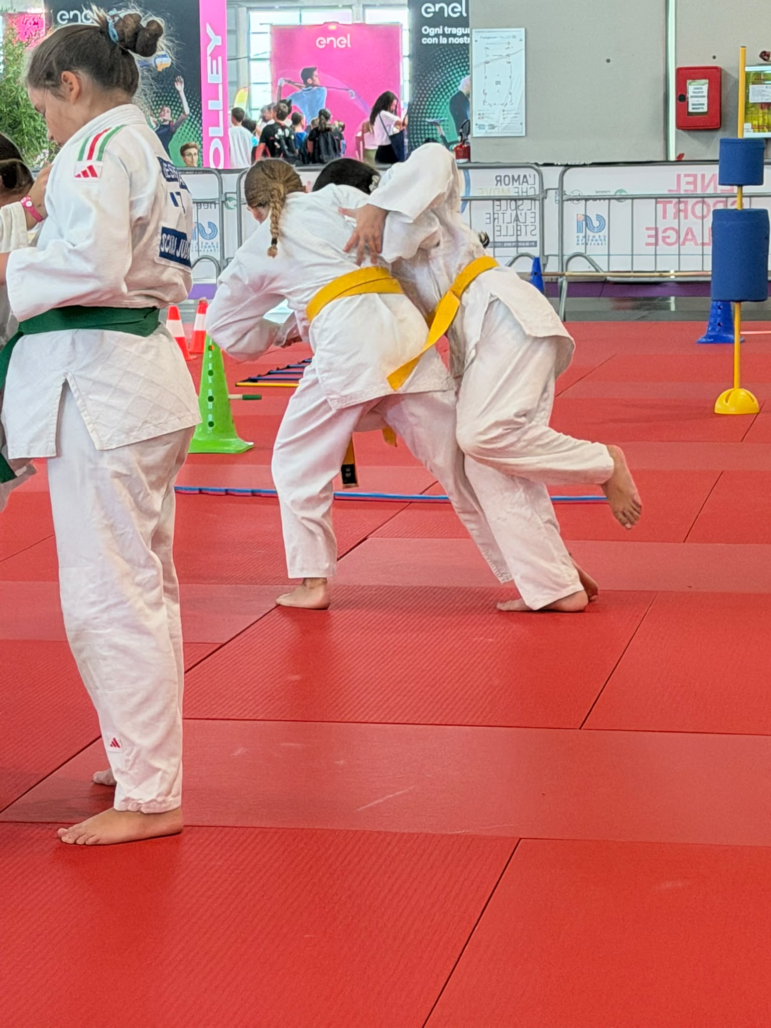 Judo Meeting di Rimini 2026 judo 4