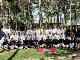 Stage internazionale Ju Jitsu - 8° World CISA Symposium