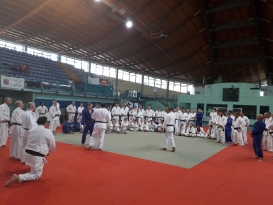 41303855_1953217541430519_8270477226625990656_n