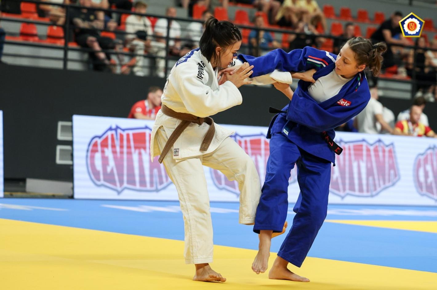 images/medium/0627_Carlos-Ferreira-Millennium-Team-European-Judo-Championships-Cadets-Skopje-2025-2025-382505.jpg