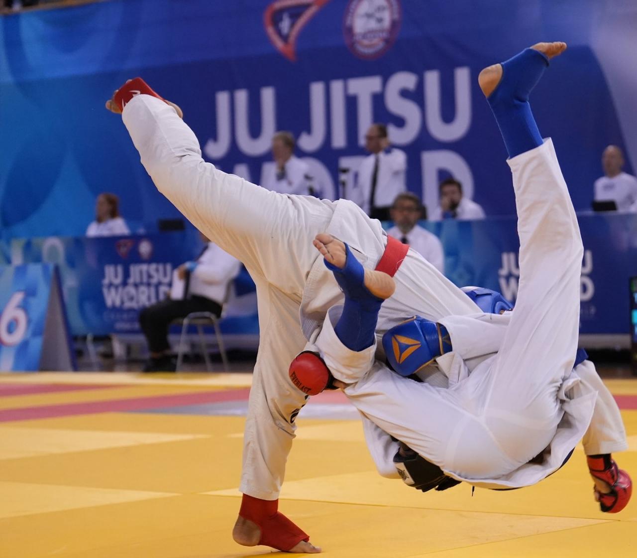 images/Arti_Marziali/JJ/large/Jujitsu_WORLDS_2024_generica.jpg