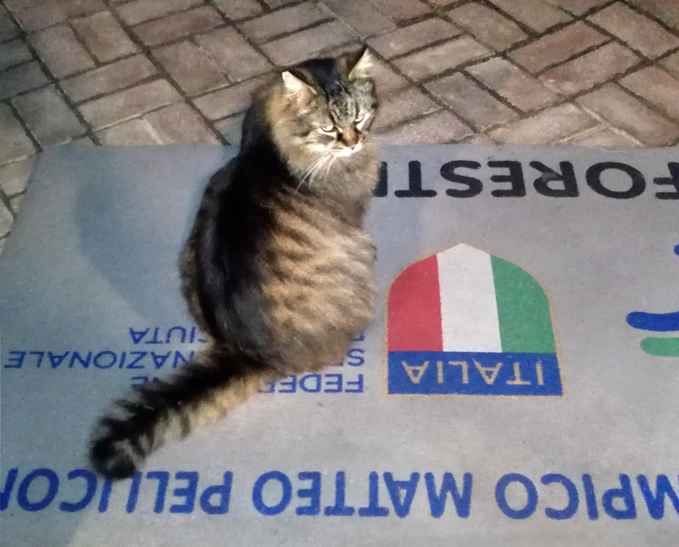 Matteo la mascotte del Polo culturale