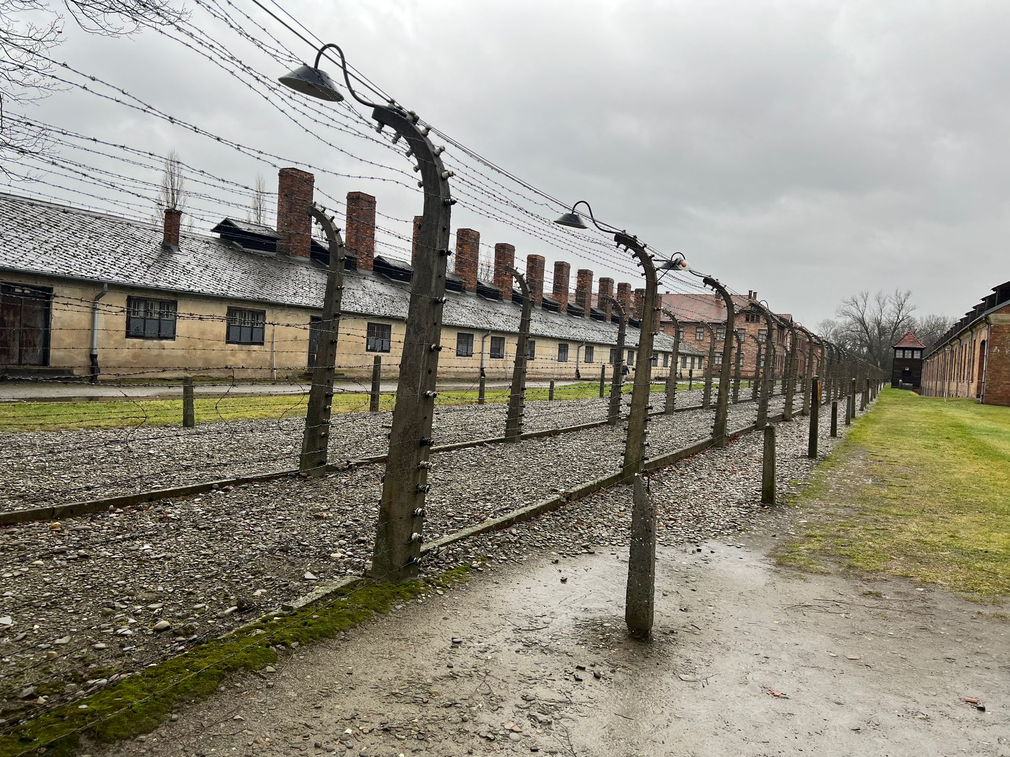 fijlkam auschwitz 2