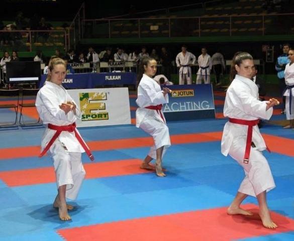 images/discipline/karate/large/camp_ita_rapp_regionali_2016.jpg