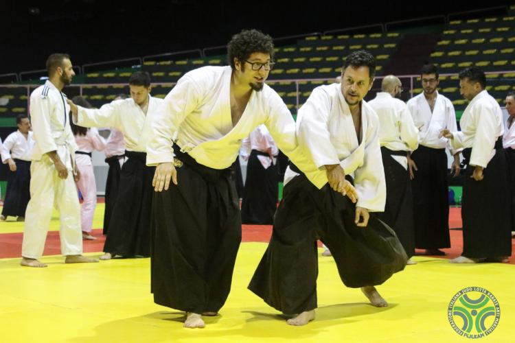 Aikido - Stage Nazionale 2019 