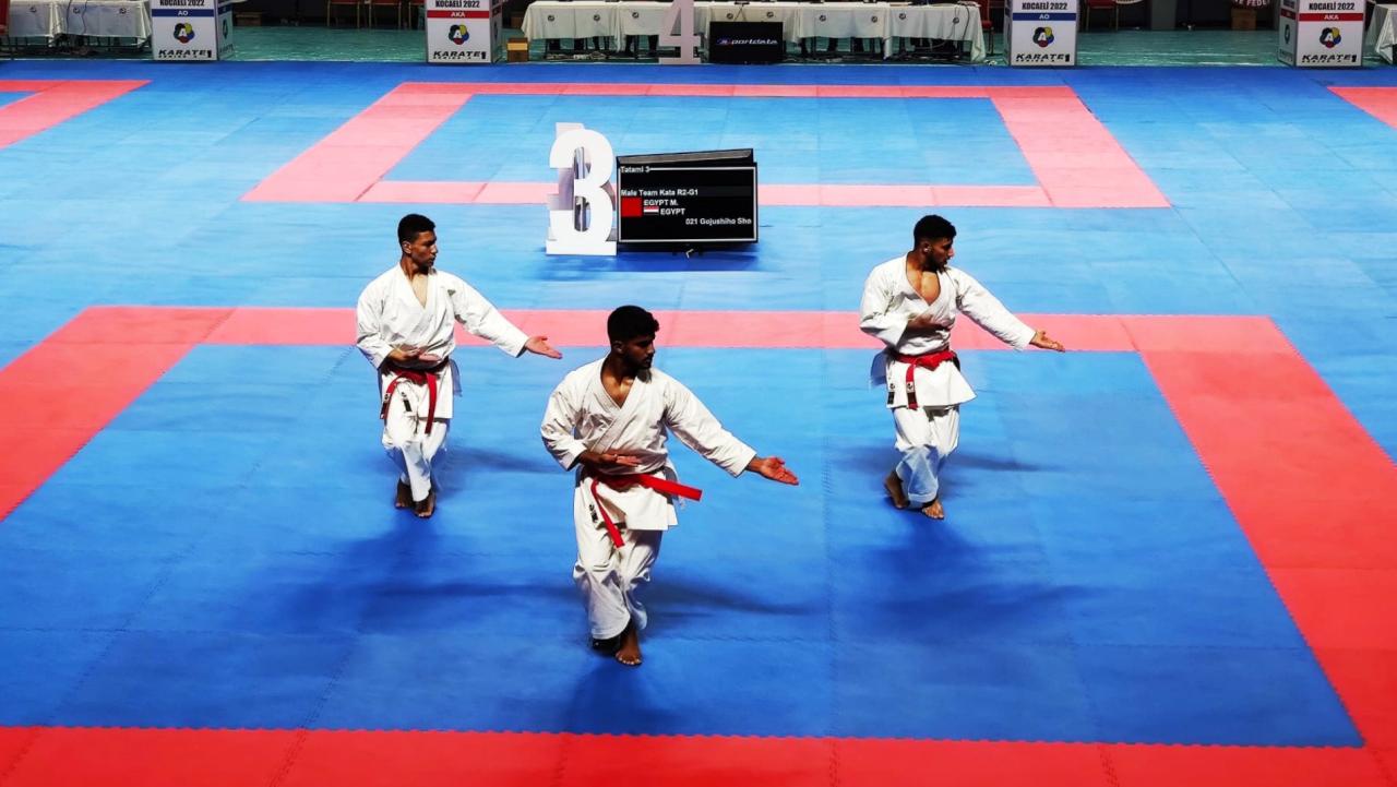 images/karate/large/Serie_A_Kocaeli_Kata.jpg