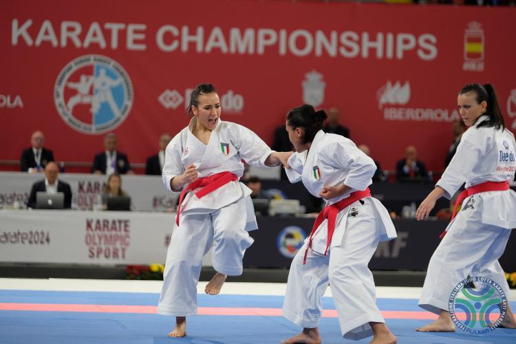 images/karate/large/sq_f_kata_7_20190402_1978534963.jpg