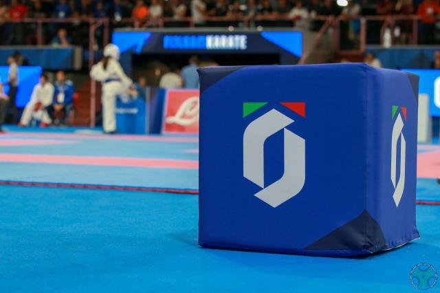 Fijlkam Karate logo
