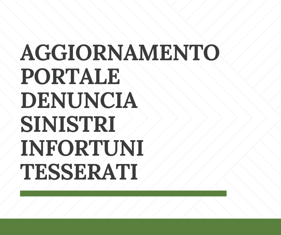 images/large/Aggiornamento_portale_sinistri.png