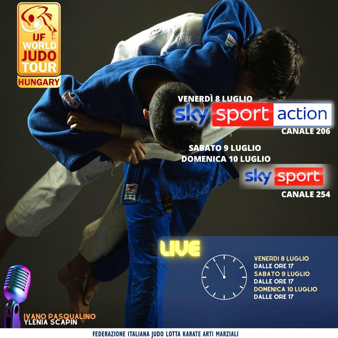 images/large/Judo-grand-slam-budapest.jpg