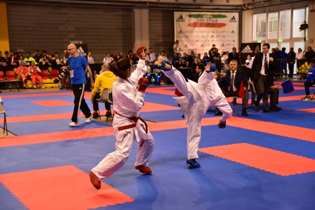 open adidas karate 2015