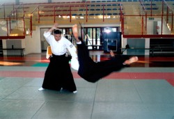 /immagini/Aikido/2008/De_Compadri.jpg