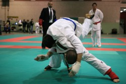 /immagini/Ju-Jitsu/2008/Arti_5162.JPG