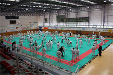 /immagini/Ju-Jitsu/2009/RID-stage.jpg