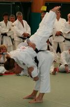 Grand Prix di kata 2011, le classifiche finali