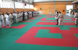 /immagini/Judo/2012/Bignami_037_bRID.jpg