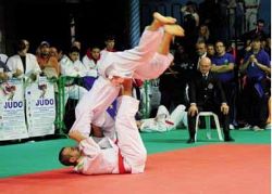 /immagini/Judo/2012/Sankaku2011.jpg