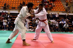 /immagini/Judo/2012/phoca_thumb_l_finale_-66_vince_fabio_andreoli.jpg