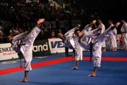 /immagini/Karate/2008/trio_in_azione.jpg