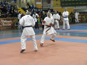 /immagini/Karate/2010/foto_2_giorno_esordienti.jpg