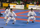 /immagini/Karate/2010/foto_FFGG-Kata_Team_Perugia.jpg