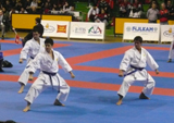 G.S. Fiamme Gialle, Dojo Dokko Do, Champion Center e Karate Genocchio conquistano il tricolore a squadre